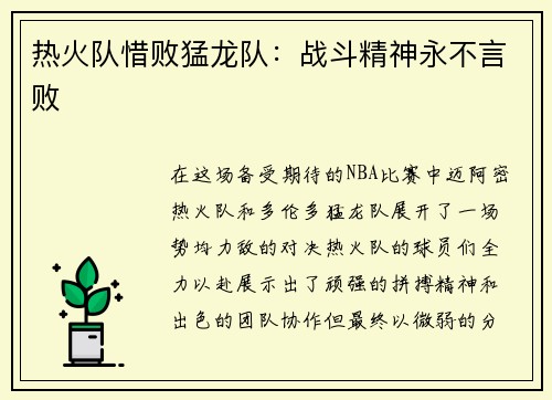 热火队惜败猛龙队：战斗精神永不言败